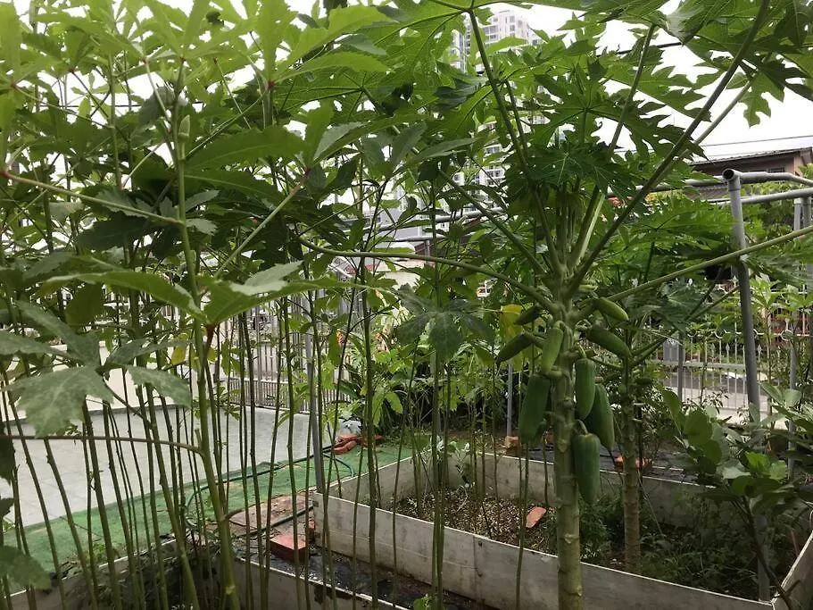 Cosy Big House 5Min Ciq Sogo Ksl Mall 4Br 12Pax Johor Bahru 0*,